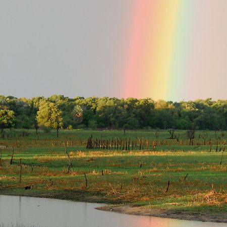 Island Safari Lodge Maun Bagian luar foto