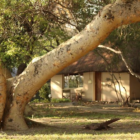 Island Safari Lodge Maun Bagian luar foto