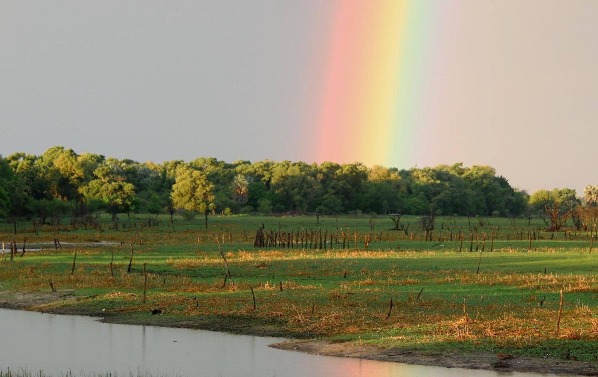 Island Safari Lodge Maun Bagian luar foto