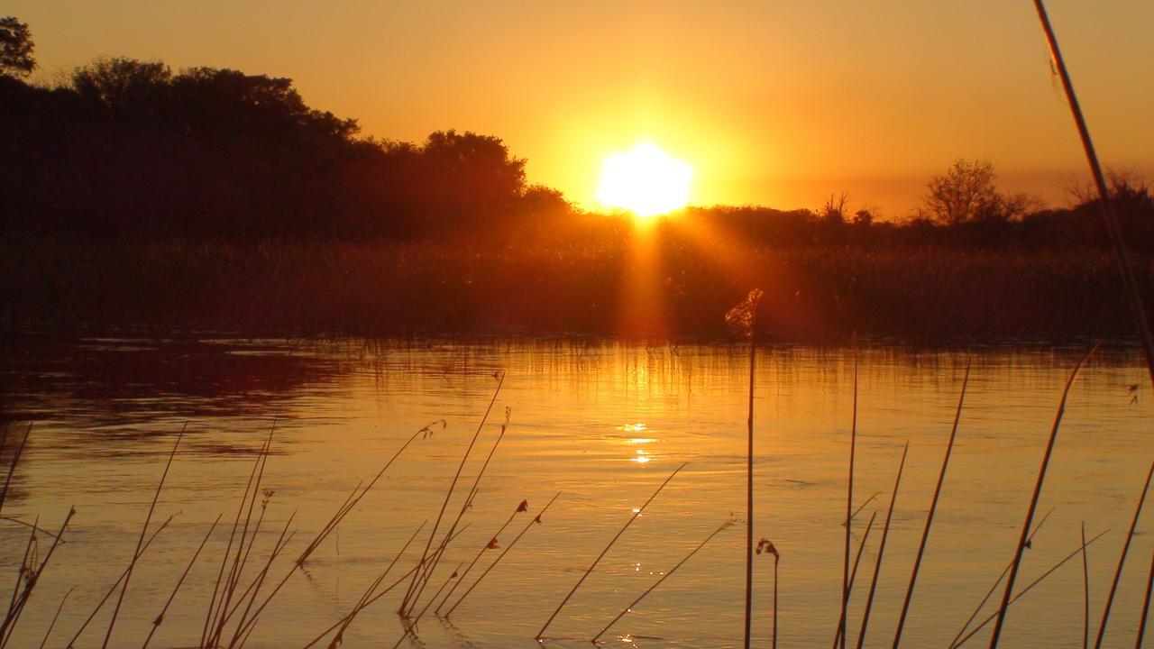 Island Safari Lodge Maun Bagian luar foto