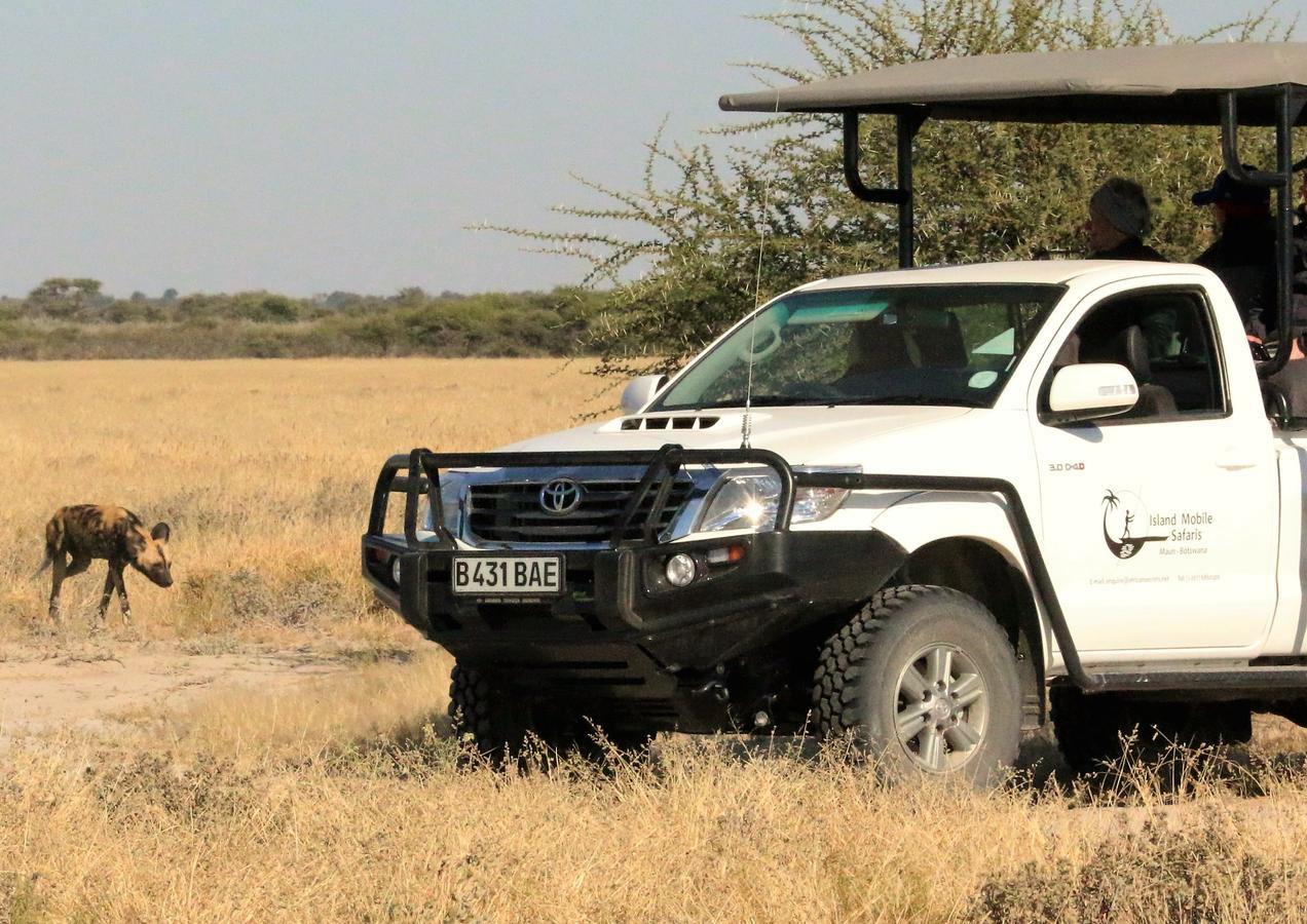 Island Safari Lodge Maun Bagian luar foto