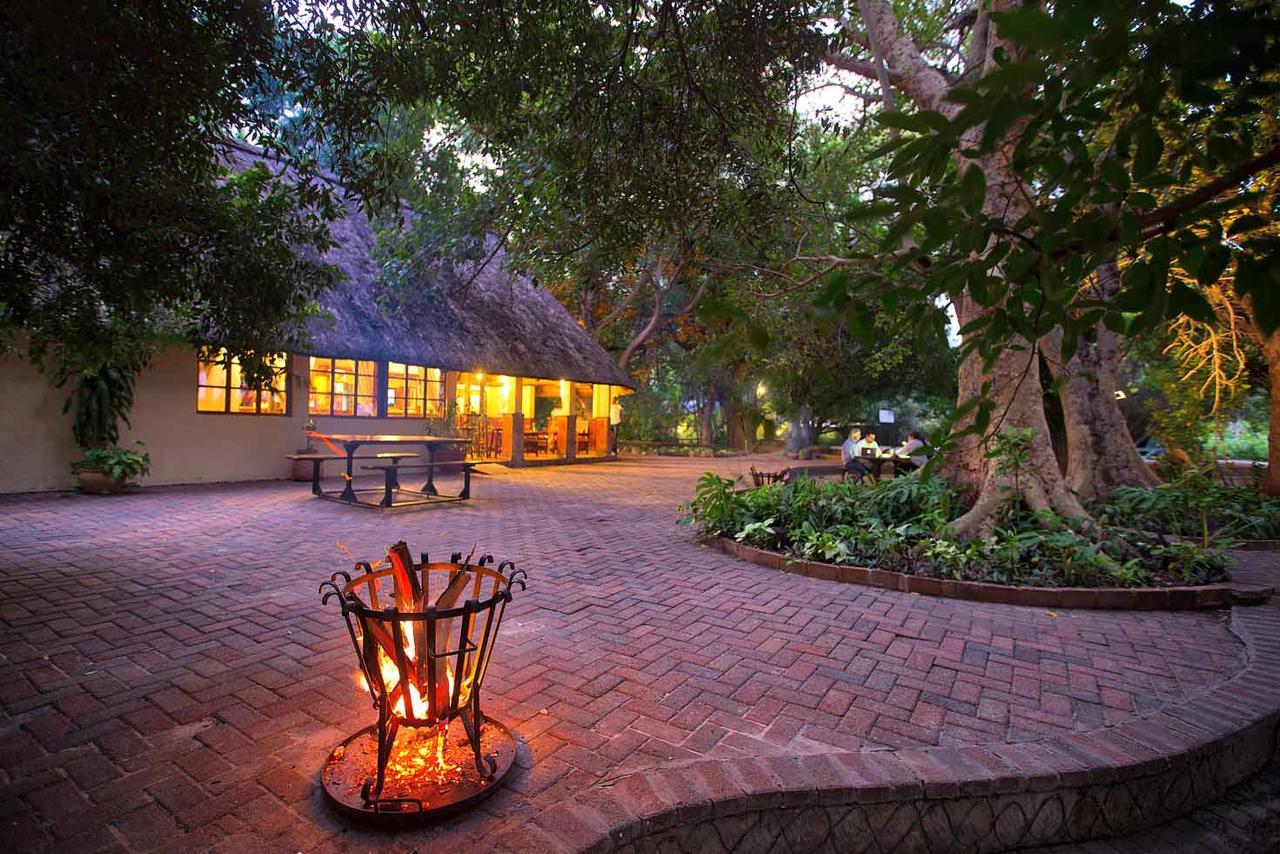 Island Safari Lodge Maun Bagian luar foto