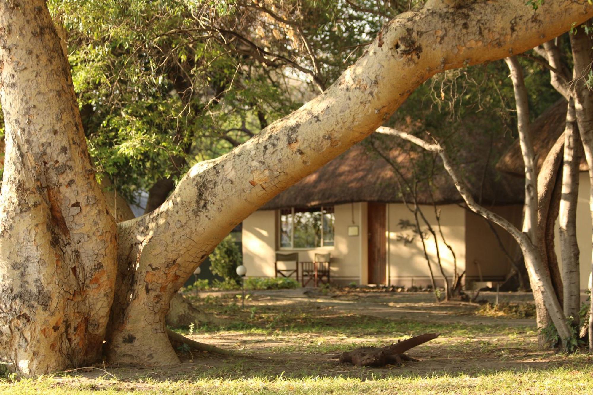 Island Safari Lodge Maun Bagian luar foto