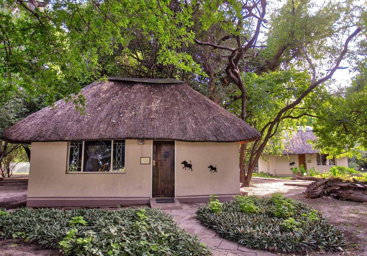 Island Safari Lodge Maun Bagian luar foto